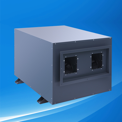 Ceiling Dehumidifier YCD-10S