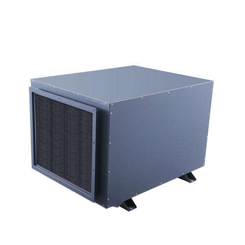Ceiling Dehumidifier YCD-10S